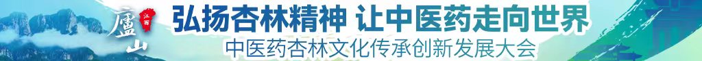 日本超骚逼中医药杏林文化传承创新发展大会